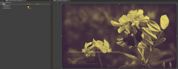 AE Screenshot