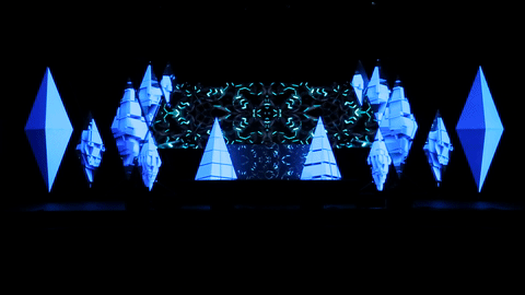 seven lions- PHOTO CRED NICK CaHill.gif