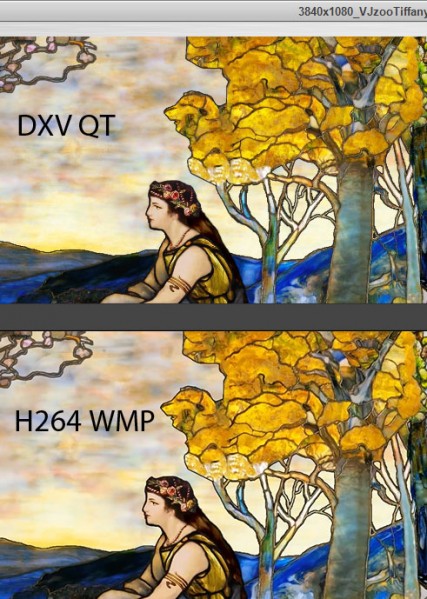 DXVqtVSH264wmp.jpg