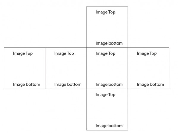 IMG_9924.jpeg