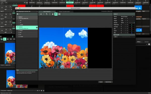 ADVANCED OUTPUT INPUT.png
